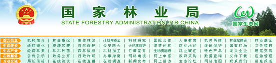 [2009特色評(píng)選] 國(guó)家林業(yè)局網(wǎng)站榮獲“品牌欄目獎(jiǎng)”