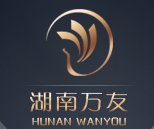 湖南萬(wàn)友智能技術(shù)發(fā)展有限公司