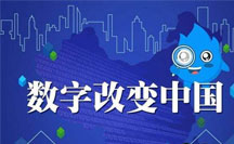 西方經(jīng)驗(yàn)在廈門市數(shù)字政府治理中的應(yīng)用分析