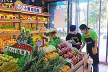 金三銀四開水果店正當(dāng)時(shí)，吉小果期待合作共贏