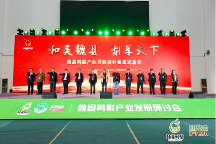 “和美魏縣，梨享天下”魏縣鴨梨產(chǎn)業(yè)發(fā)展研討會圓滿落幕！