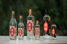 春糖頂流 高燃收官 | 能賦·米燒征程不止，勇毅前行耀未來(lái)！