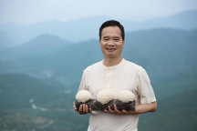 高品質(zhì)銀耳品牌，金燕耳傳承銀耳食養(yǎng)文化