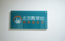 精靈夢葉羅麗：因愛而改變