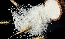 禾之善：堅(jiān)定使命，只為大家吃上一碗健康的好米飯