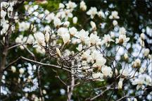 花香共富路，鄉(xiāng)村煥新顏，幫忙APP培養(yǎng)新農(nóng)村勞動(dòng)力