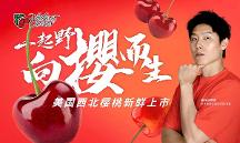 向“櫻”而生，一起野