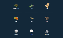 深入探討新加坡bback解酒丸的明星成分DHM