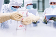 全力驅(qū)動(dòng)干細(xì)胞產(chǎn)業(yè)發(fā)展 中源協(xié)和干細(xì)胞臨床備案成果累累