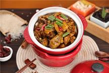 健康美食養(yǎng)生良伴，鴿兒倆助您邁向健康生活！