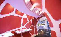 探究免疫細(xì)胞的巨大作用 中源協(xié)和免疫細(xì)胞有什么好？