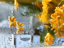 千年舟鋅效抗菌2.0系列健康板材，以超硬核實力守衛(wèi)家居健康