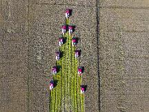 全域豐收?qǐng)鼍氨澈蟮臑H柴雷沃力量