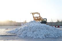 新疆長絨棉供不應(yīng)求，“大博弈”后沖出一匹新黑馬