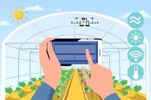 “認(rèn)養(yǎng)”+“農(nóng)業(yè)”怎么玩？超級(jí)碼認(rèn)養(yǎng)云平臺(tái)——打通產(chǎn)供銷，助農(nóng)增收促振興