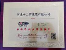 瞄準(zhǔn)新賽道，促進(jìn)新發(fā)展，河北十二河化肥有限公司榮獲央視品牌展播
