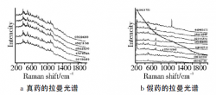 拉曼光譜在藥物晶型分析和真?zhèn)伪鎰e中的應(yīng)用