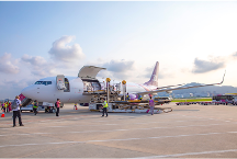 跨越快遞單號查詢系統(tǒng)處理能力強大，實時掌握貨物動態(tài)