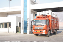 內(nèi)蒙古自治區(qū)應(yīng)急管理廳加強(qiáng)冬春救助工作指導(dǎo)  確保受災(zāi)困難群眾安全溫暖過(guò)冬