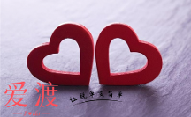 愛渡婚戀：新型婚戀觀與兩性關(guān)系的未來