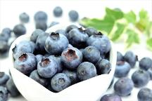 果香四溢 莓好云南 2024年中國小漿果大會(huì)暨首屆云南藍(lán)莓大會(huì)即將開幕！